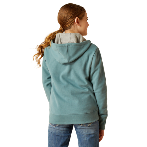 Picture of Ariat 10049040 TEAM LOGO HOOD