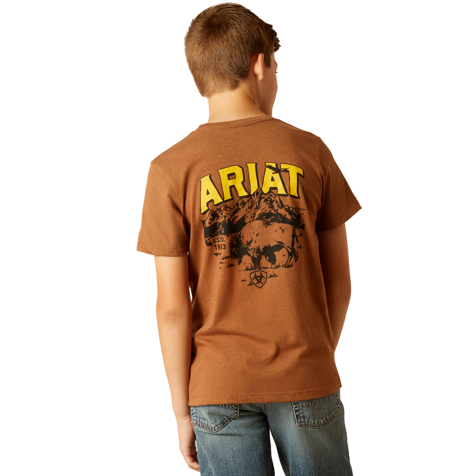 Picture of Ariat 10051742 ARIAT BISON SKETCH SHIELD SS TSHRT